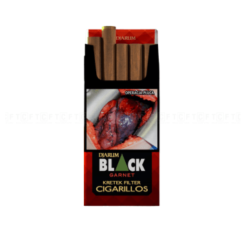 Cygaretki Djarum Garnet Filter 10 szt. TTT