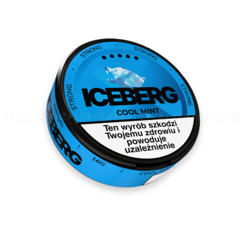Woreczki nikotynowe ICEBERG 20mg/g Cool Mint