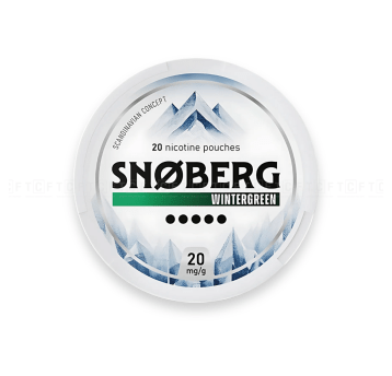 Woreczki nikotynowe SNOBERG 20mg/g Wintergreen